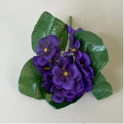 African Violet Purple 21cm - V002
