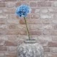 Agapanthus Blue 87cm - A048 A1