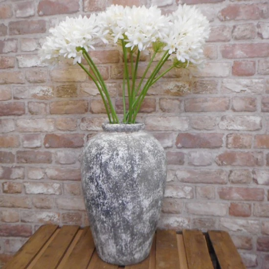 Agapanthus Cream 87cm - A047 A1
