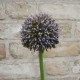 Artificial Hedgerow Allium Blue Purple 54cm - A087 A2