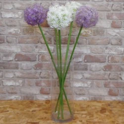 40cm x 15cm Clear Glass Cylinder Vase - GL028 7A