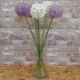 40cm x 15cm Clear Glass Cylinder Vase - GL028 7A