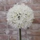 Giant Silk Allium Cream 83cm - A020 A1