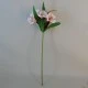 Artificial Alstroemeria Stem Blush Pink 48cm  - A051 A4