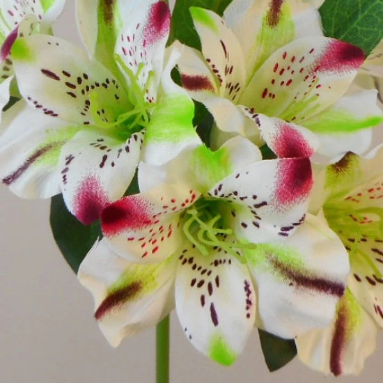 Artificial Alstroemeria Stem Cream Green Pink 48cm  - A057 C2