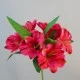 Artificial Alstroemeria Stem Hot Pink 48cm  - A052 A4