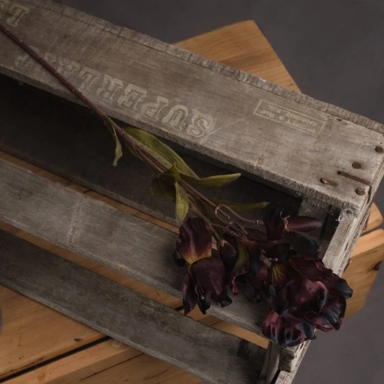 Artificial Chocolate Alstroemeria Stem 63cm  - A098 HH4