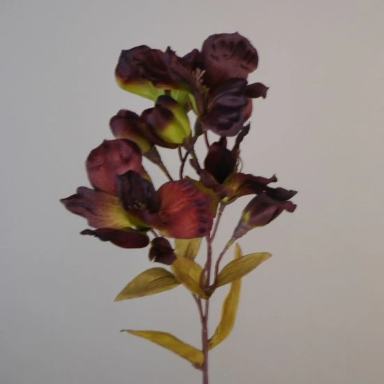 Artificial Chocolate Alstroemeria Stem 63cm  - A098 HH4