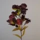 Artificial Chocolate Alstroemeria Stem 63cm  - A098 HH4