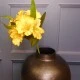 Artificial Alstroemeria Stem Yellow 48cm  - A053 A4