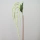 Artificial Amaranthus Pale Green - AMA009 A2