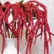 Artificial Amaranthus Red - AMA006 A3