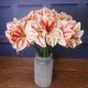 Artificial Amaryllis Red Cream 40cm - A031 HH4