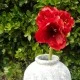 King Artificial Amaryllis Red 68cm - A030 BX22