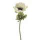 Artificial Anemones Cream 35cm - A015 JJ4