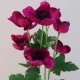 Artificial Japanese Anemones Magenta Pink 68cm - A095 A3