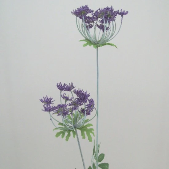 Anethum Purple 90cm - A005a A1