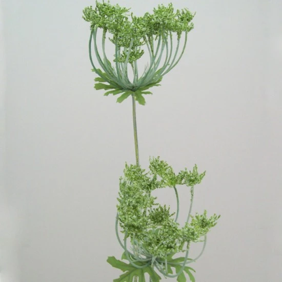 Anethum White 90cm - A005 B2