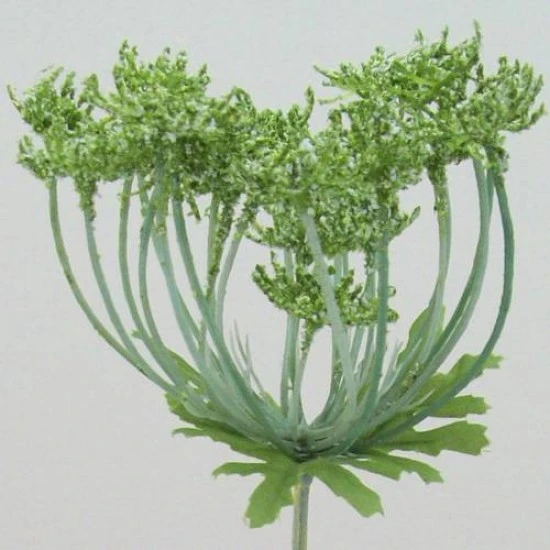 Anethum White 90cm - A005 B2