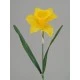 Large Yellow Silk Daffodil 65cm - D010 