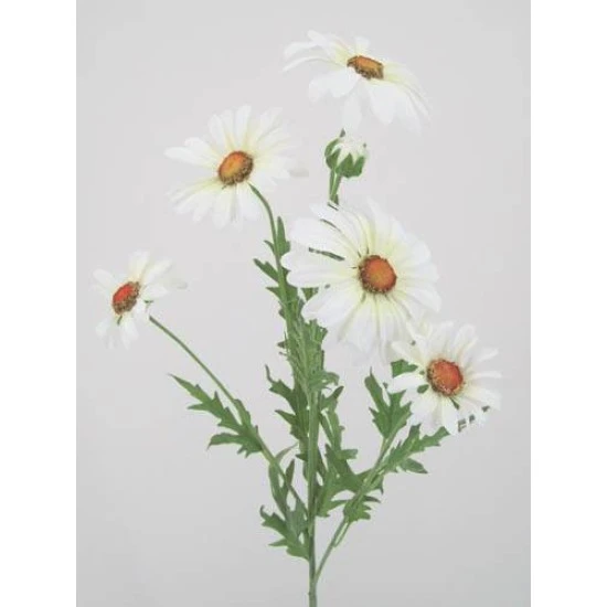 Silk Daisies | Large Artificial Field Daisy 64cm - D016 E2