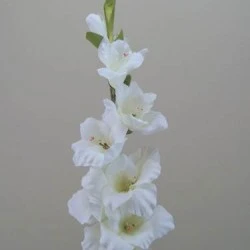 Artificial Gladiola Ivory 94cm - G035 