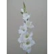 Artificial Gladiola Ivory 94cm - G035 
