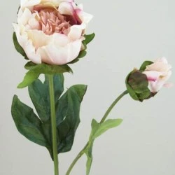Vintage Peony Flowers Peach 52cm - P087 K2