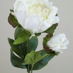 Vintage Peony Flowers Cream 52cm - P089 K2