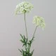 Artificial Queen Anne's Lace White 74cm - Q002 R4