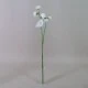 Artificial Sweet Peas Stem White 49cm - S065 U3