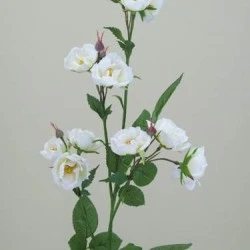Wild Rose Spray White 74cm - R102 H2