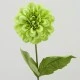Zinnia Lime Green 46cm - Z019 T3