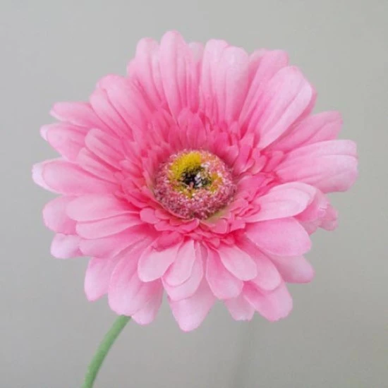 Artificial Gerbera Daisies Pink 65cm - G096 F2