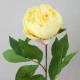 Peony Flowers Yellow 60cm - P025 K2