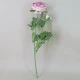 Artificial Ranunculus Flowers Cream and Dark Pink 40cm - R042B M3
