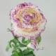 Artificial Ranunculus Flowers Cream and Dark Pink 40cm - R042B M3