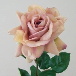 Artificial Tea Rose Vintage Apricot 70cm - R279 KK1