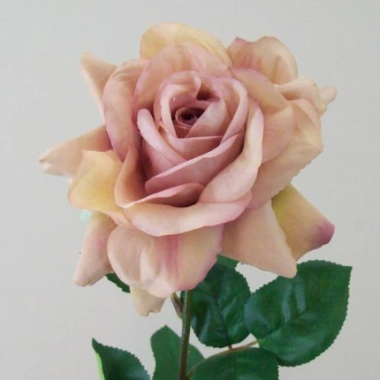 Artificial Tea Rose Vintage Apricot 70cm - R279 KK1