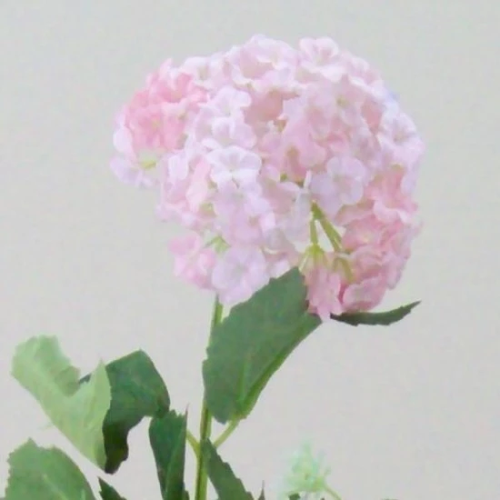 Silk Viburnum | Guelder Rose Pink 75cm - V014 BX6
