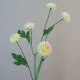 Artificial Button Asters Lemon 58cm - A114 A2