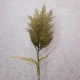 Artificial Pampas Olive Green 89cm | Faux Dried Flowers - A071 J1