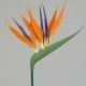 Artificial Birds of Paradise Small 64cm - B002 