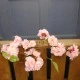 Cherry Blossom Branch Light Pink 75cm - B025 B4