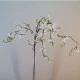 Cream Weeping Cherry Blossom Branch 118cm - C183 B1