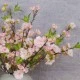 Artificial Cherry Blossom Branch Pale Pink Short Stem 48cm - B037 