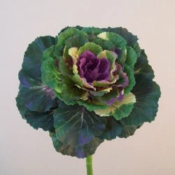 Artificial Ornamental Cabbages 'Tokyo' 48cm - C197 FF2