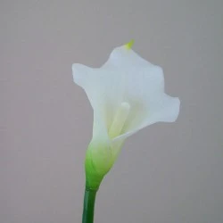 Artificial Calla Lilies Real Touch Small White 66cm - C159 