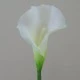 Artificial Calla Lilies Real Touch Medium Cream 66cm - C157 