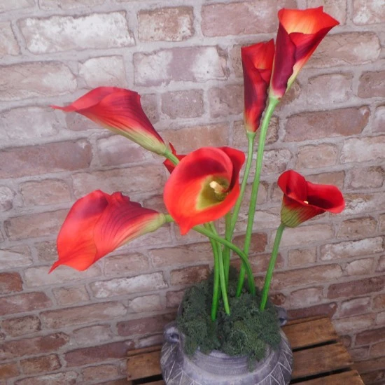 Artificial Calla Lily Red 71cm - L120 BX6